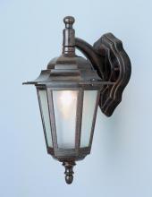  4056 RT - Alexander Outdoor 1-Light Frosted Glass and Metal Coach Wall Lantern